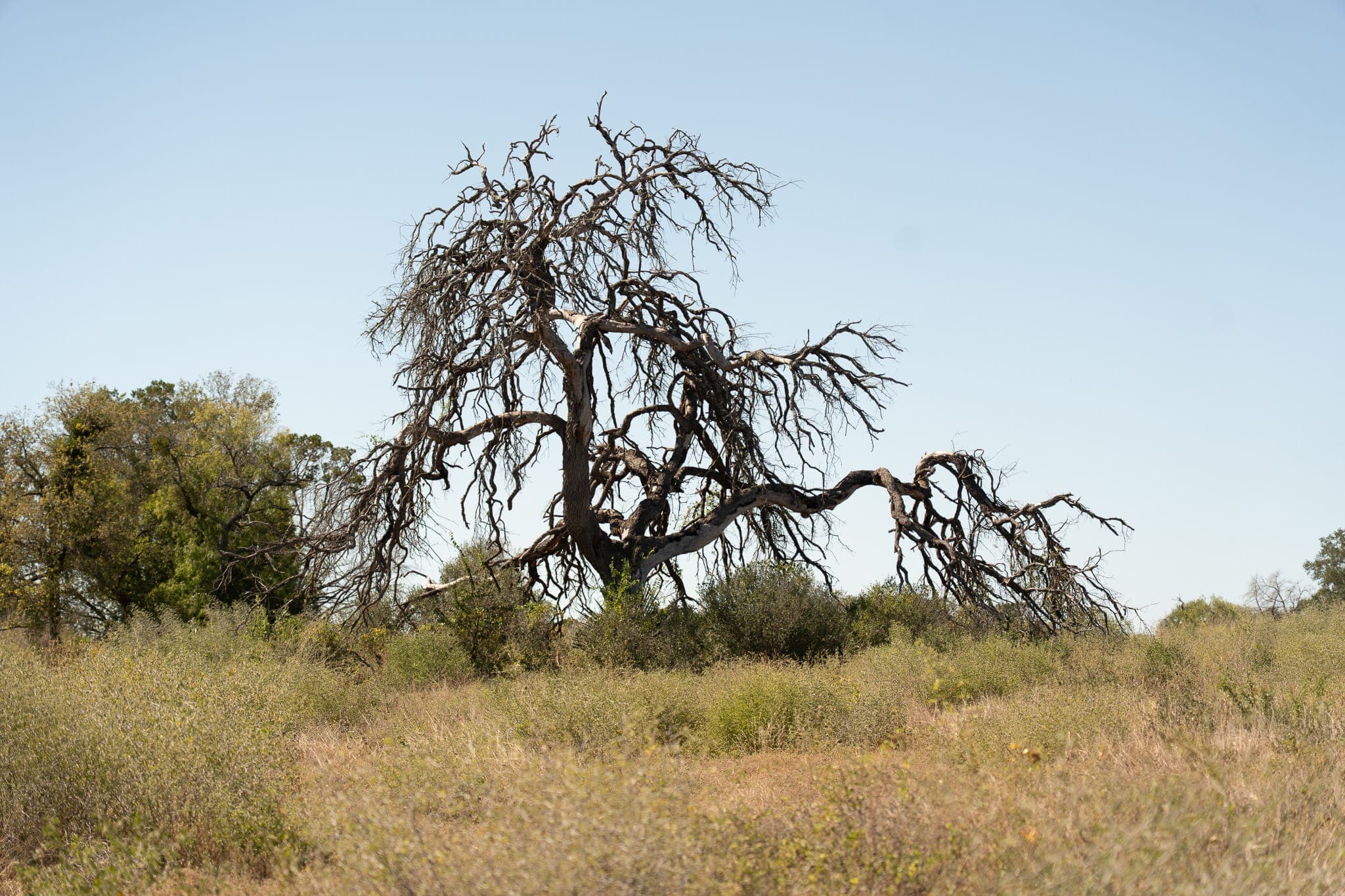Government Canyon — landscape, frame 1